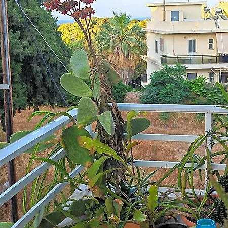 Leo's And Xerxes' Place